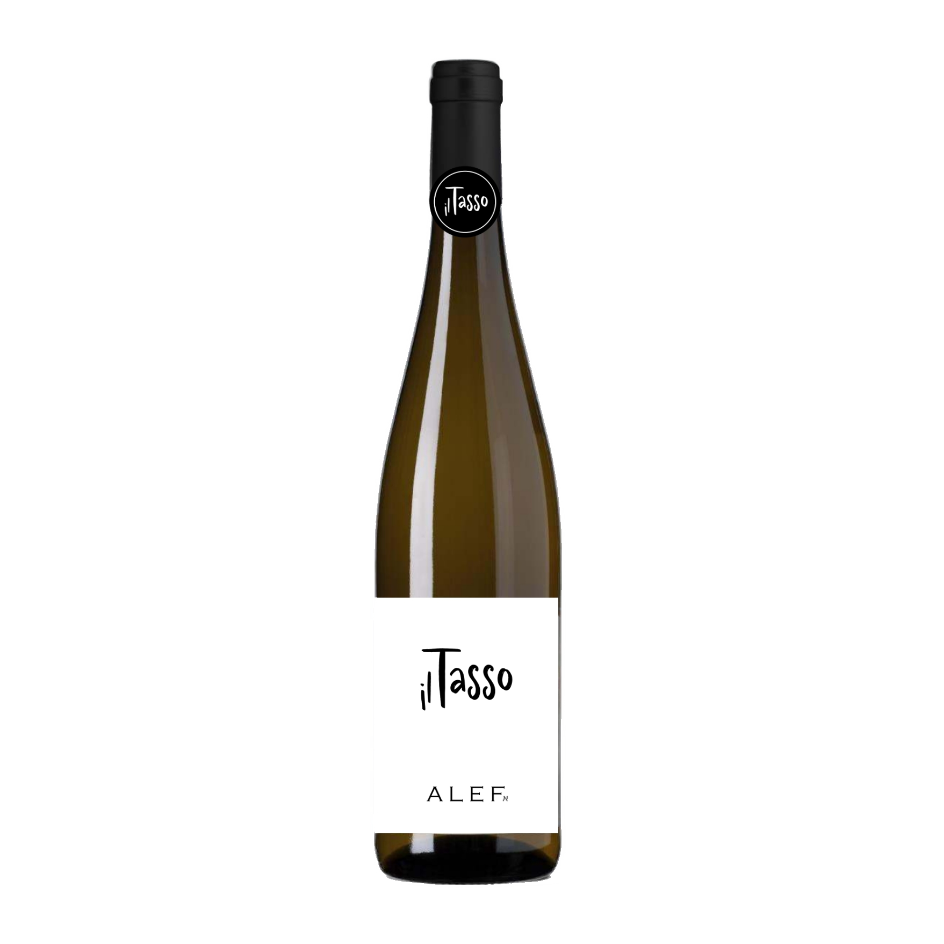 il tasso alef friulano doc friuli vini azienda agricola tacoli asquini bicinicco udine trieste Alef Il Tasso Friulano Doc Friuli azienda agricola tacoli asquini bicinicco udine trieste